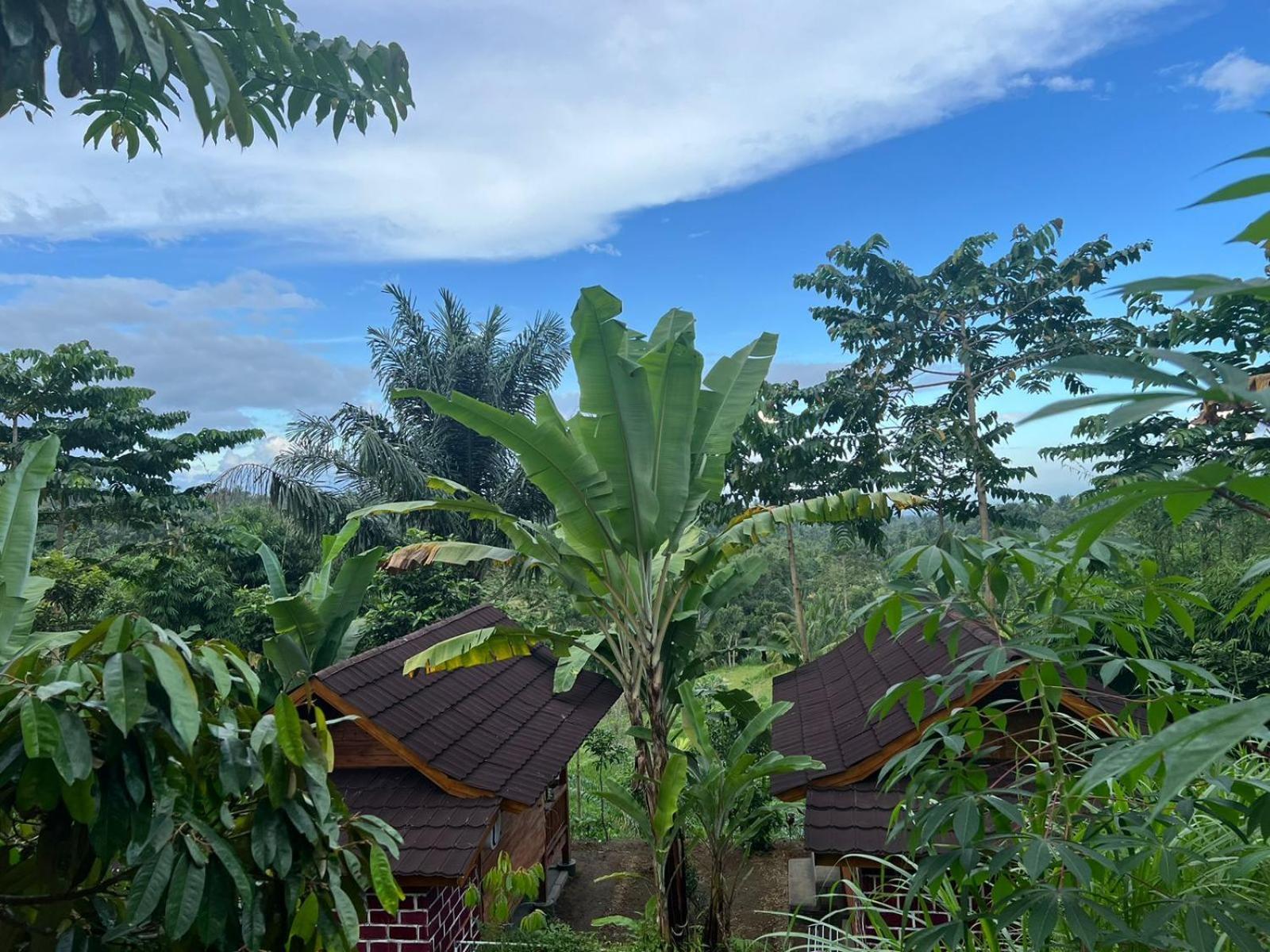 Serenity Lodge Tetebatu Lombok Exterior foto